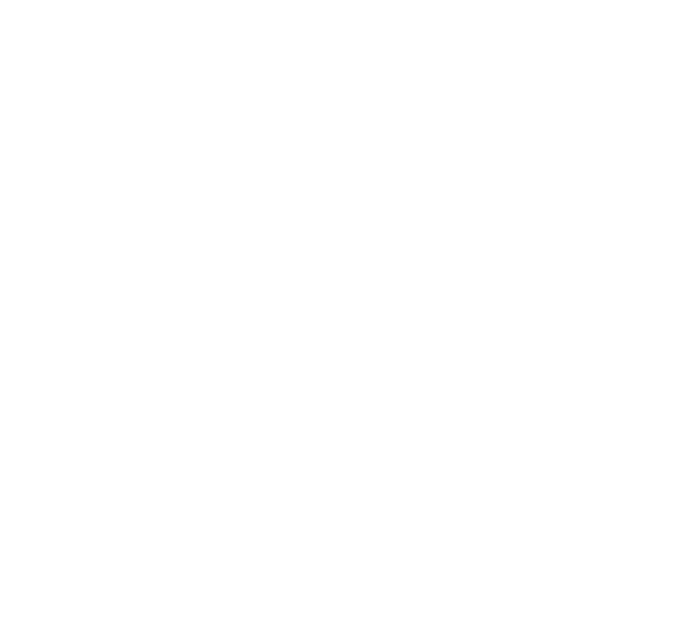 Logo Footer